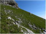 Zajzera - Monte Nabois grande